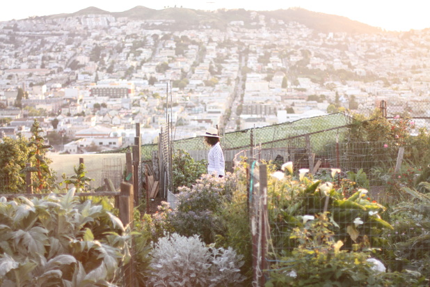 san-francisco-garden