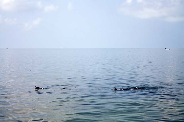 Key West snorkeling