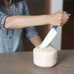 The freshest, easiest coconut smoothie recipe